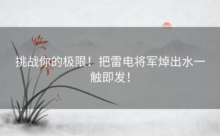 挑战你的极限！把雷电将军焯出水一触即发！
