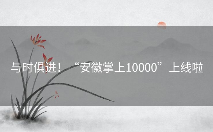 与时俱进！“安徽掌上10000”上线啦