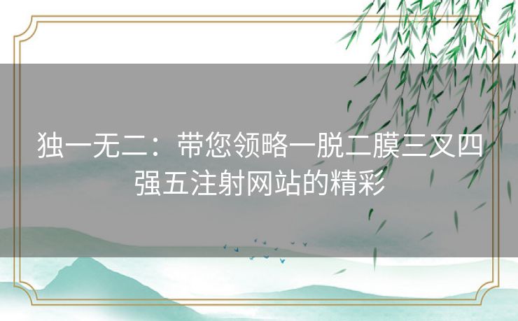 独一无二：带您领略一脱二膜三叉四强五注射网站的精彩