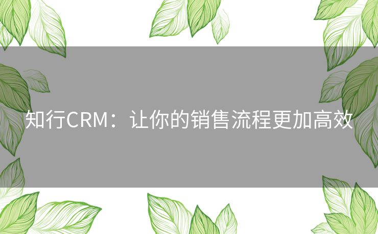 知行CRM：让你的销售流程更加高效