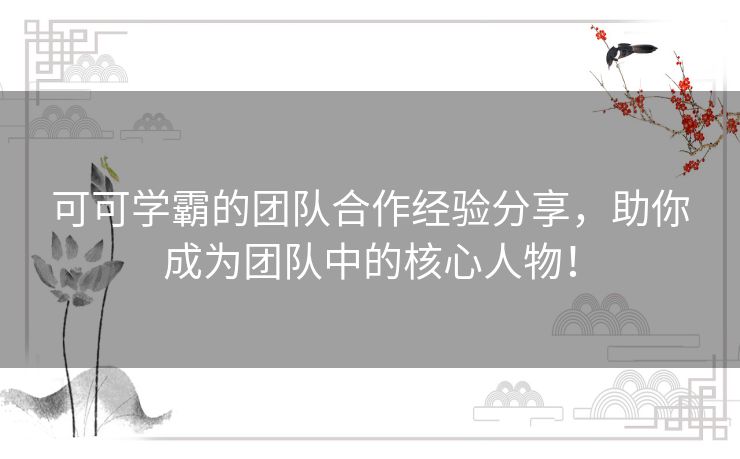 可可学霸的团队合作经验分享，助你成为团队中的核心人物！