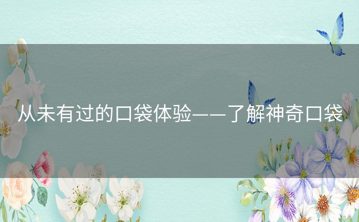 从未有过的口袋体验——了解神奇口袋