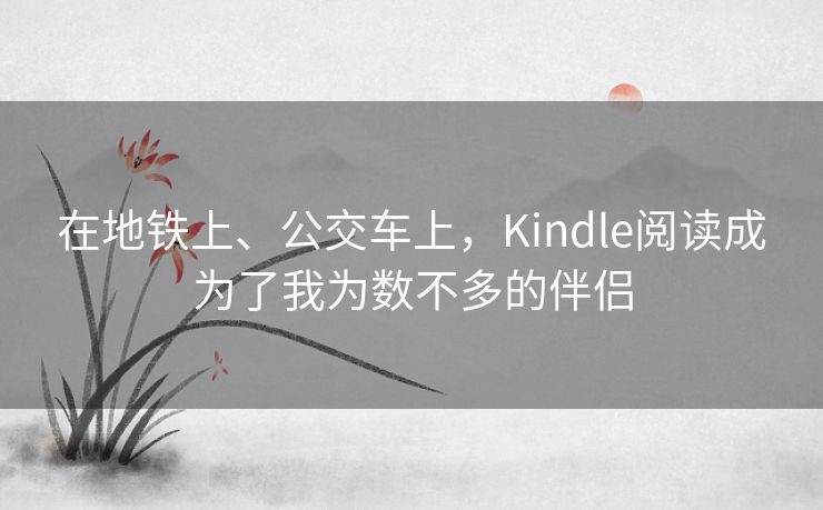 在地铁上、公交车上，Kindle阅读成为了我为数不多的伴侣