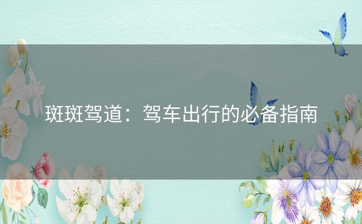 斑斑驾道：驾车出行的必备指南