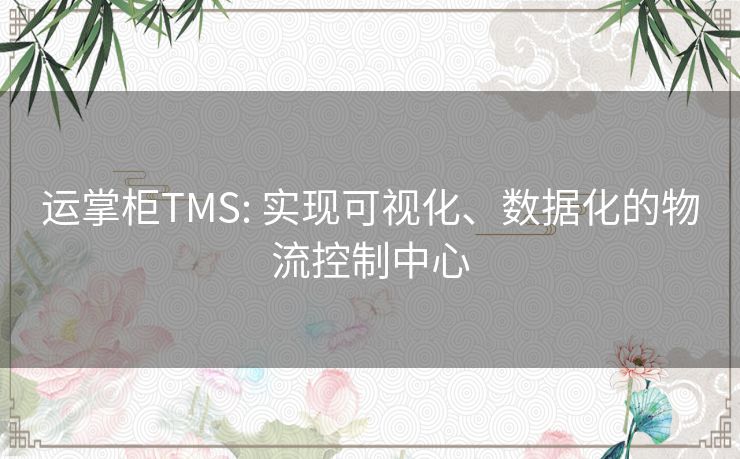 运掌柜TMS: 实现可视化、数据化的物流控制中心
