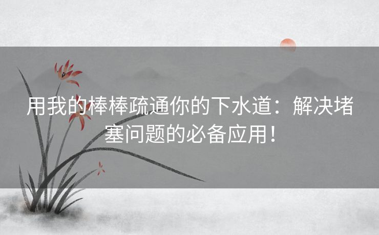 用我的棒棒疏通你的下水道：解决堵塞问题的必备应用！