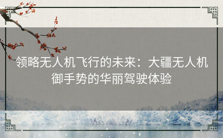 领略无人机飞行的未来：大疆无人机御手势的华丽驾驶体验