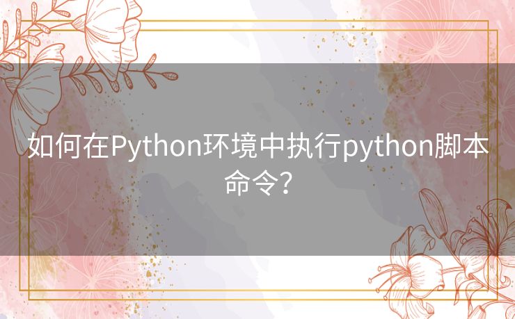 如何在Python环境中执行python脚本命令？