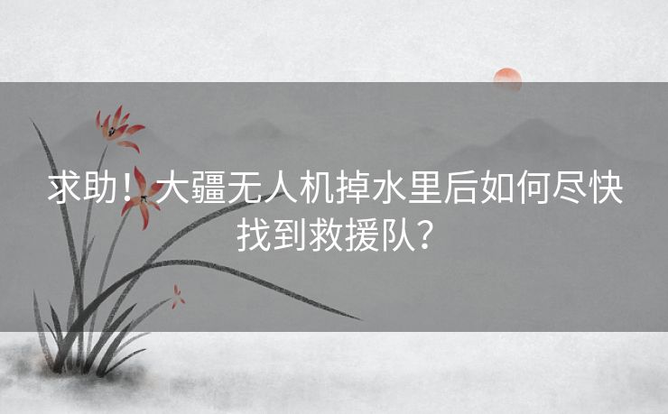 求助！大疆无人机掉水里后如何尽快找到救援队？