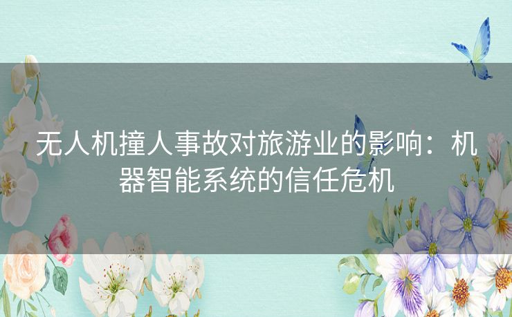 无人机撞人事故对旅游业的影响：机器智能系统的信任危机