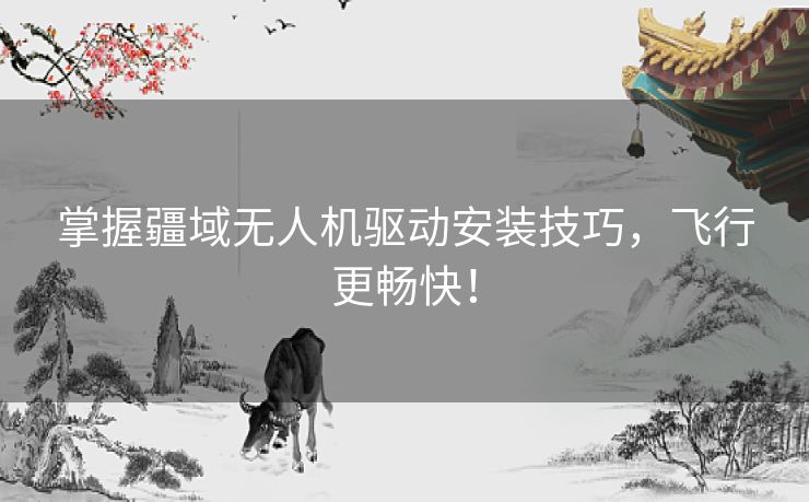 掌握疆域无人机驱动安装技巧，飞行更畅快！