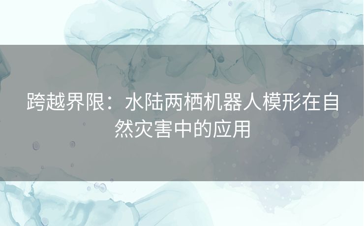 跨越界限：水陆两栖机器人模形在自然灾害中的应用