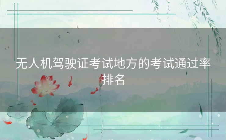 无人机驾驶证考试地方的考试通过率排名