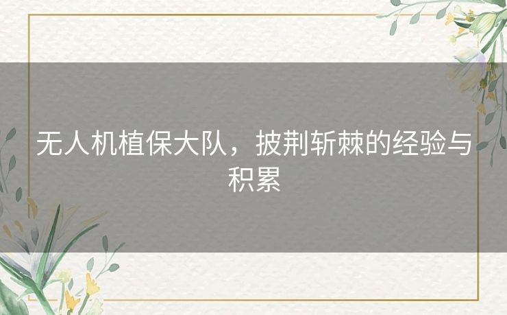 无人机植保大队，披荆斩棘的经验与积累