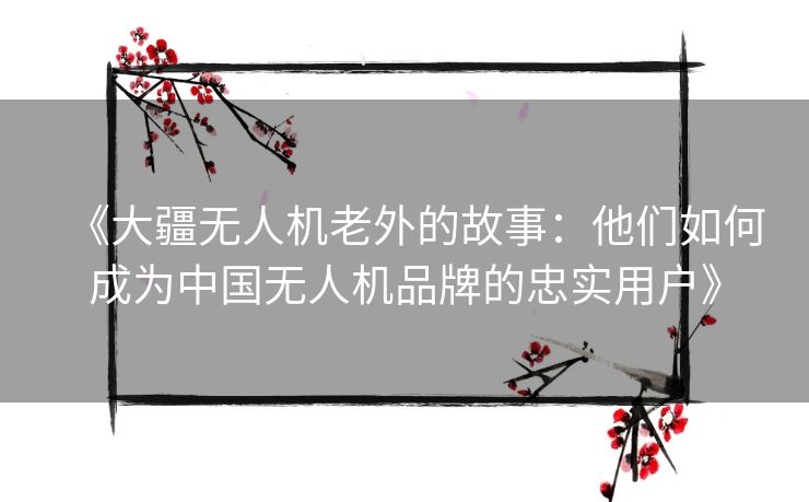 《大疆无人机老外的故事：他们如何成为中国无人机品牌的忠实用户》