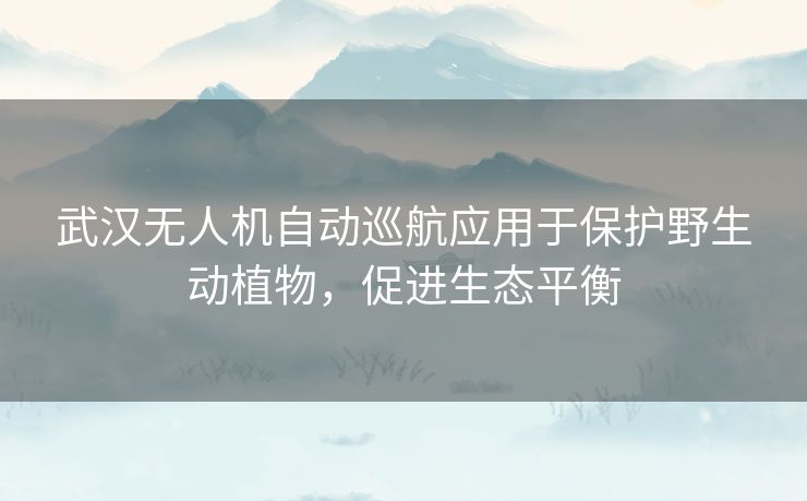 武汉无人机自动巡航应用于保护野生动植物，促进生态平衡