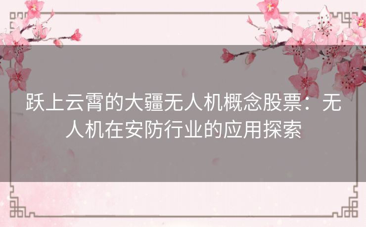 跃上云霄的大疆无人机概念股票：无人机在安防行业的应用探索
