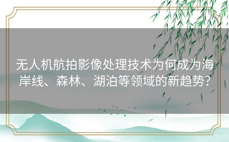 无人机航拍影像处理技术为何成为海岸线、森林、湖泊等领域的新趋势？