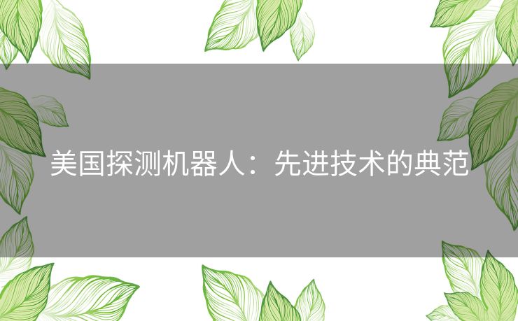 美国探测机器人：先进技术的典范