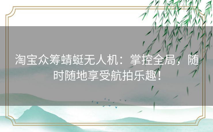 淘宝众筹蜻蜓无人机：掌控全局，随时随地享受航拍乐趣！
