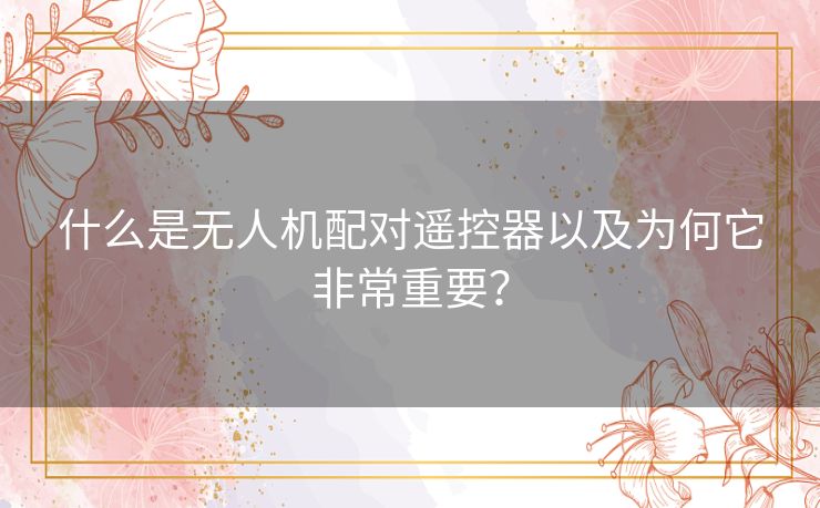 什么是无人机配对遥控器以及为何它非常重要？