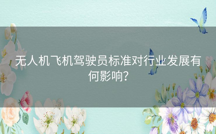 无人机飞机驾驶员标准对行业发展有何影响？