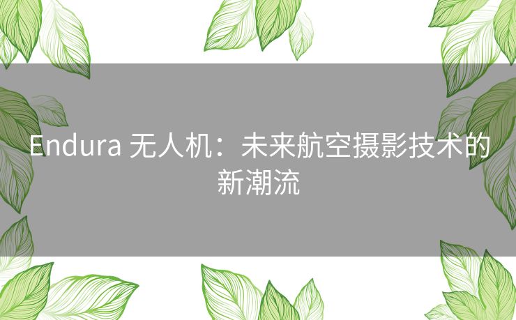 Endura 无人机：未来航空摄影技术的新潮流