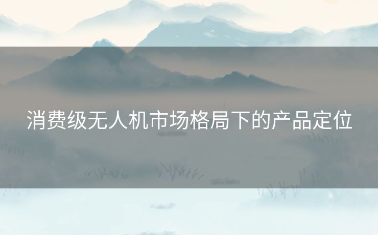 消费级无人机市场格局下的产品定位