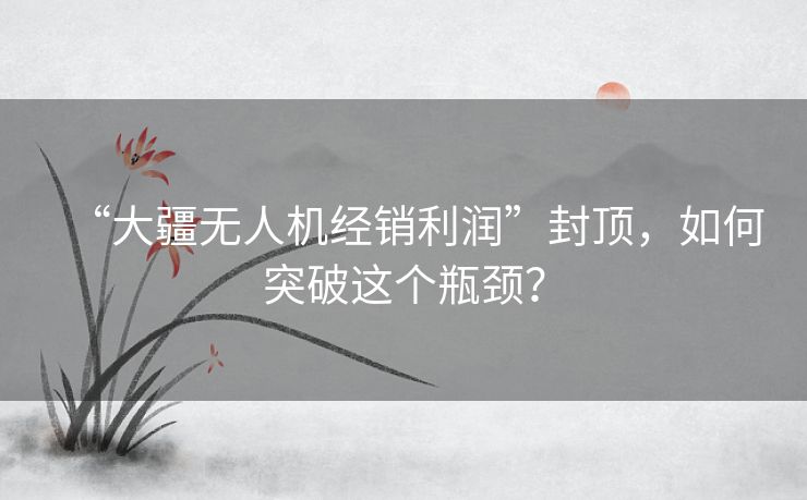 “大疆无人机经销利润”封顶，如何突破这个瓶颈？
