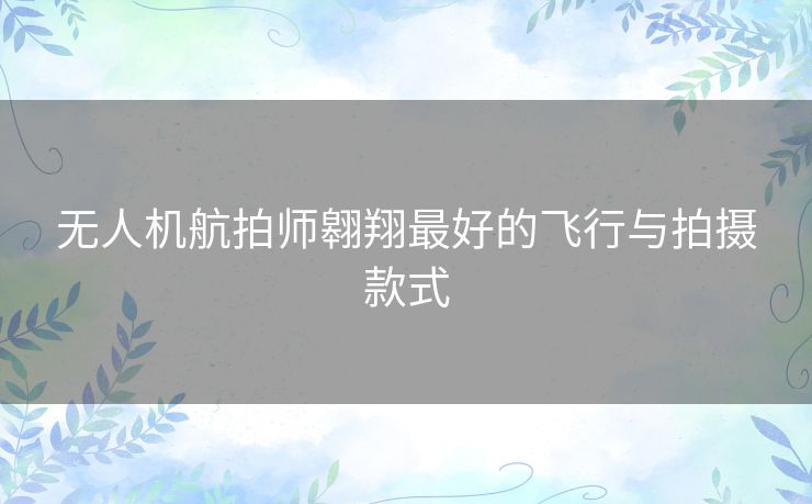 无人机航拍师翱翔最好的飞行与拍摄款式