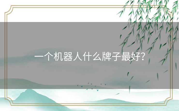 一个机器人什么牌子最好？