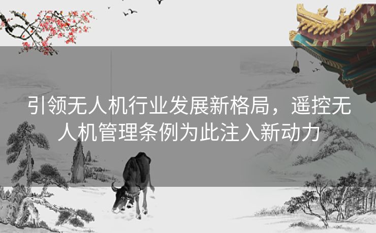引领无人机行业发展新格局，遥控无人机管理条例为此注入新动力
