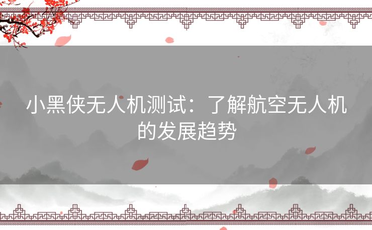 小黑侠无人机测试：了解航空无人机的发展趋势