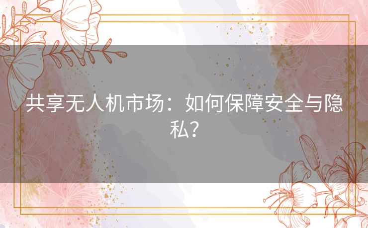 共享无人机市场：如何保障安全与隐私？