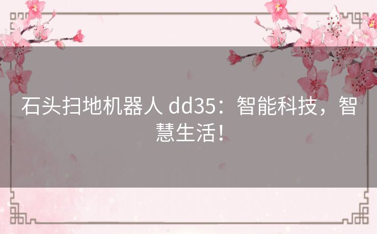 石头扫地机器人 dd35：智能科技，智慧生活！
